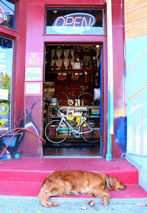 Pedals come in pairs, both left and right, and are a great way to improve your bikes control and handling while adding some style to your ride! Paws and Pedals — Every proper bike shop needs a mascot ...