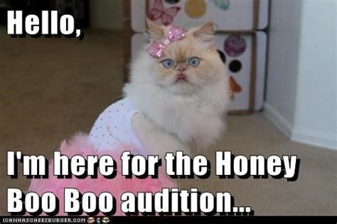 Hello Im Here For The Honey Boo Boo Audition Funny Cat Memes