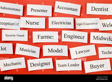 Career Choices On A Board Concept For Choosing Career Recruitment