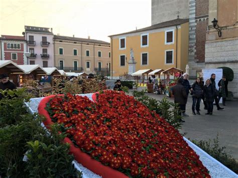 A BUSSOLENGO CI SONO I MERCATINI COME UNA VOLTA - Radio Pico