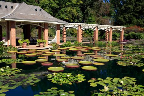 23 Of The Most Beautiful Gardens In America