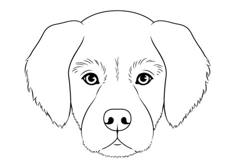 Easy Drawing Tutorials for Beginner & Intermediate Artists | Dog