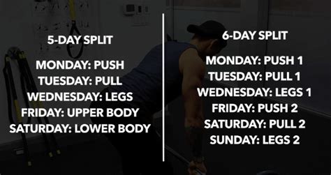 Ppl Workout Plan 6 Days Blog Dandk