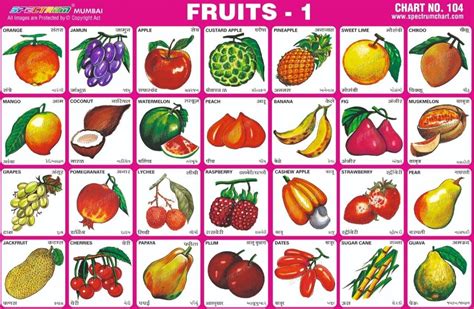 Multicolor Coated Light Weight Paper Spectrum Fruits 1 Charts At Best