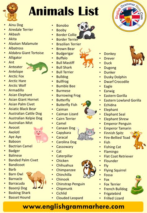 50 animals name, Detailed Animals Names List | English grammar, Animals