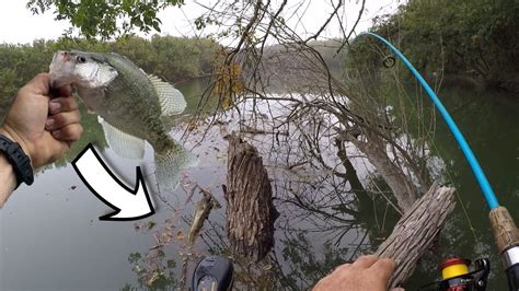 River Crappie Fishing With Minnows And Jigs Can I Find The Crappie