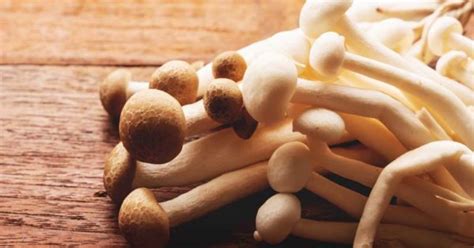 Growing Button Mushrooms A Complete Guide On How To Plant Grow