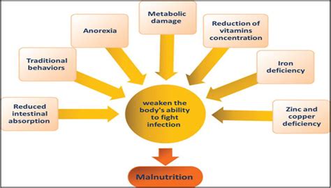 Causes Of Malnutrition Intechopen