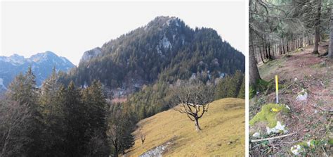 Pauschalreisen brannenburg flüge brannenburg restaurants brannenburg sehenswürdigkeiten brannenburg. Wanderung ohne Auto: geheime Pfade von Brannenburg auf die ...