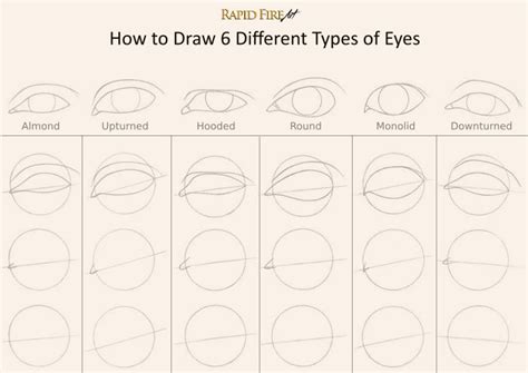 How To Draw 6 Different Eye Shapes Eye Drawing Tutorials Eye Shapes