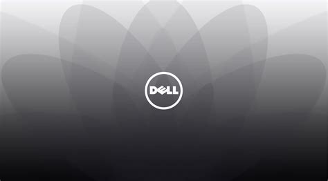 New Dell Wallpapers Top Free New Dell Backgrounds Wallpaperaccess