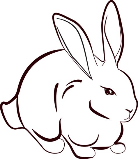 Rabbit Pictures Free Clip Art Rabbit Png