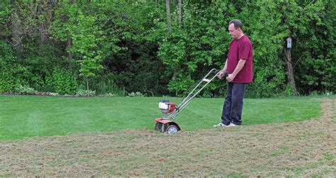 Check spelling or type a new query. How To Dethatch A Lawn Yourself | Modern Home Pulse