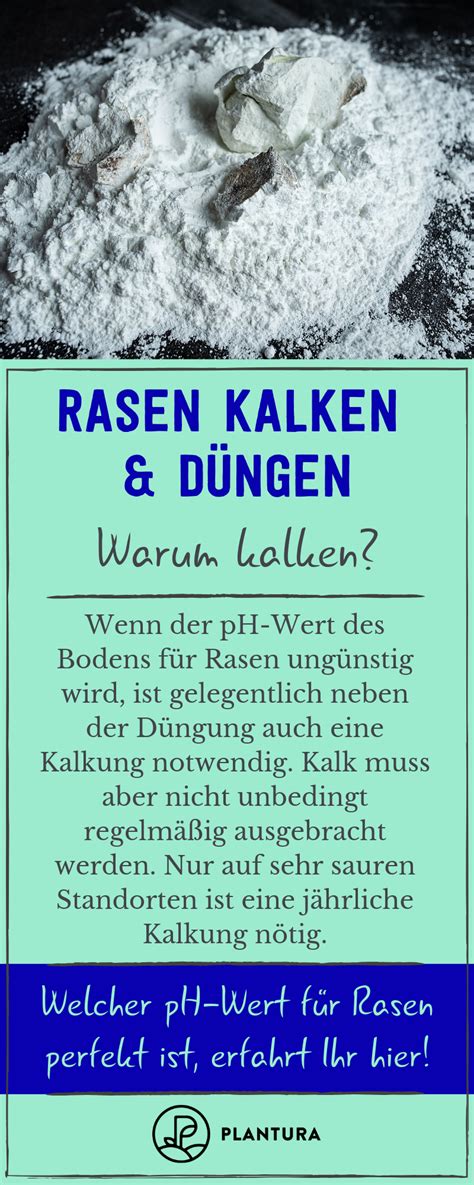 Doch wann ist der beste zeitpunkt, um den rasen zu kalken und welche anzeichen sollten sie ernst nehmen? Rasen kalken: Wann, wie & gleichzeitiges Düngen ...
