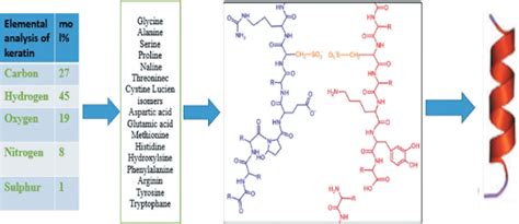 Chemical Structure Of Keratine Download Scientific Diagram