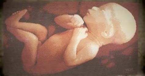 Released, 'sunk into the womb' stars emiko izawa, aoi tatsumi, toshihiko tanaka the movie has a runtime of about, and received a user score of 90 (out of 100) on tmdb, which put together reviews. It looks just like the image of a baby in the womb, but ...