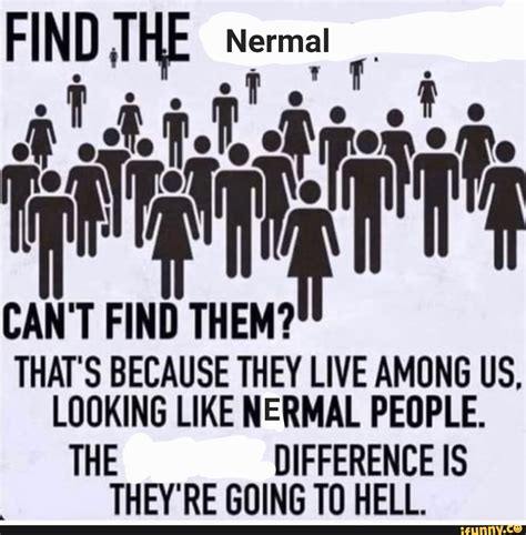 Find The Find Thats Because They Live Among Us Looking Like Nermal