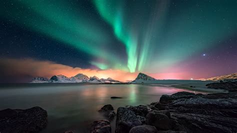 Free Download Hd Wallpaper Night Aurora Borealis Lofoten Night