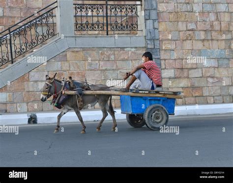 Donkey Pulling Cart Hi Res Stock Photography And Images Alamy