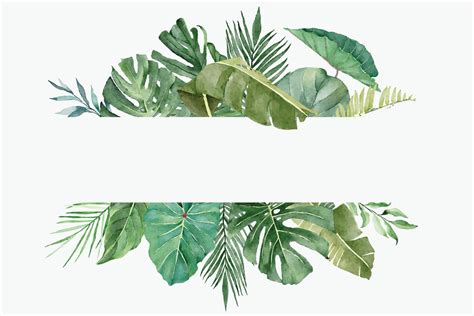 Watercolor Tropical Leaves Vector Art Icons And Graphics For Free