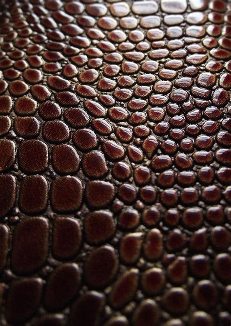 Snake Skin Texture | Snake skin texture, Texture drawing, Animal texture
