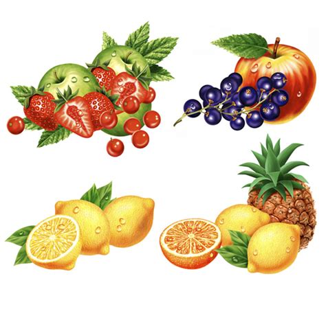 Today we will show you how to draw an apple and colorize it with realistic so here is the simple task of drawing fruit in a for kids manner. Fruit illustrations - illustrations of fruit for packaging ...
