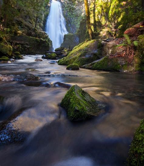 Susan Creek Falls Douglas County Near Roseburg Oregon Oregon