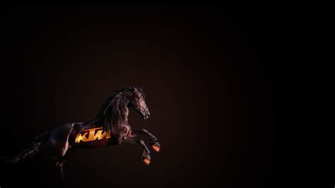 Ktm Horse Hd Funny 4k Wallpapers Images Backgrounds
