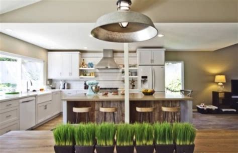 17 Nature Wheatgrass Decor Ideas Home Design And Interior