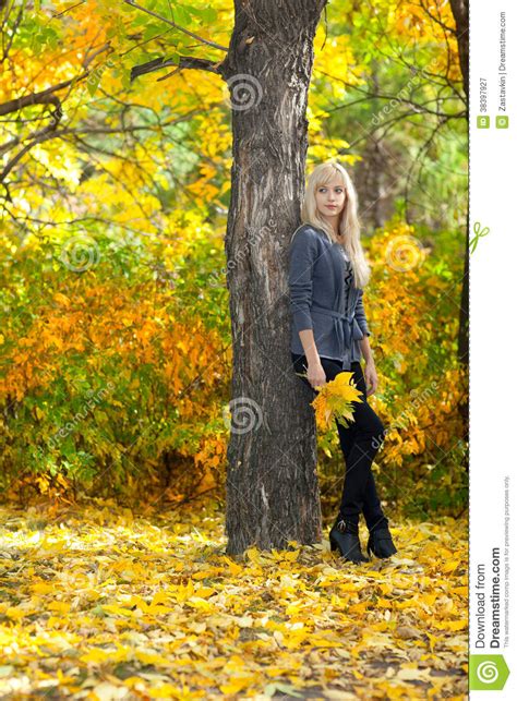 Young Beautiful Woman In Autumn Park Stock Image Image Of Nature