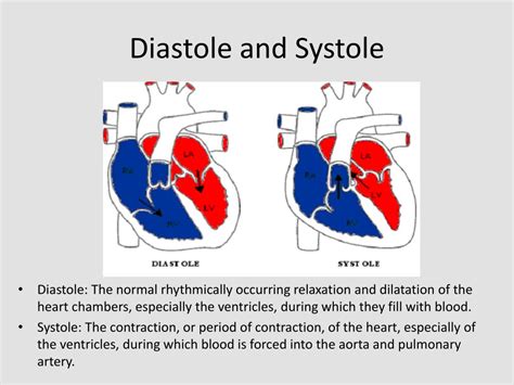 Ppt Diastolic Dysfunction As Diagnosed And Quantified By