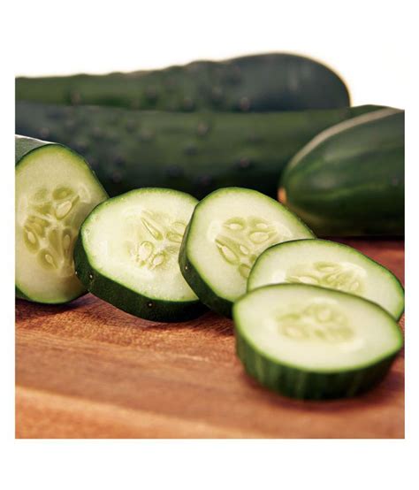 Cucumber Seed Buy Cucumber Seed Online At Low Price Snapdeal