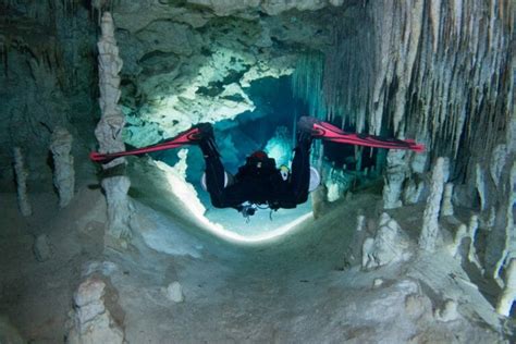 Best cenotes for cave diving in Playa del Carmen • Blue Life