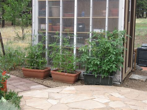 Container Gardening Blog Raised Beds At Olivia White Gardens