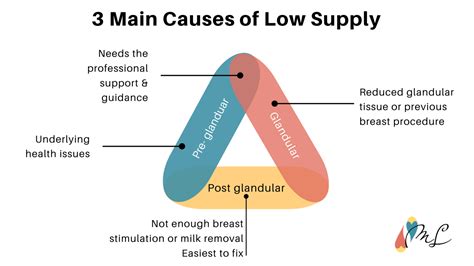 Low Supply Overview — Mattos Lactation