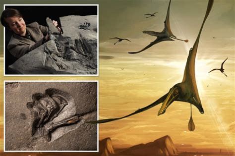 Giant Flying Reptile That Dominated The Sky 170m Years Ago Unearthed In Scotland The Us Sun