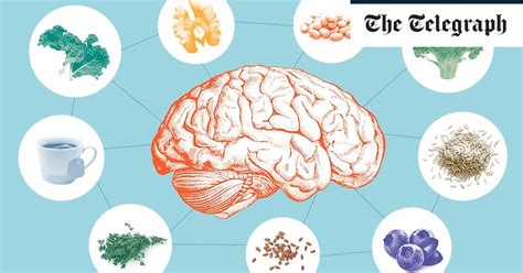 The ‘neuro 9 Nine Foods You Should Eat To Nourish A Midlife Brain