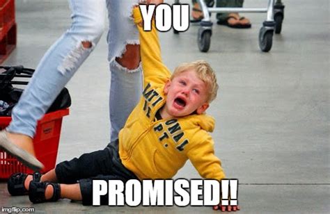 you promised imgflip