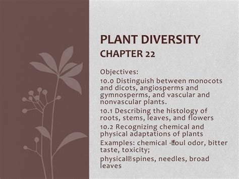Ppt Plant Diversity Chapter 22 Powerpoint Presentation Free Download