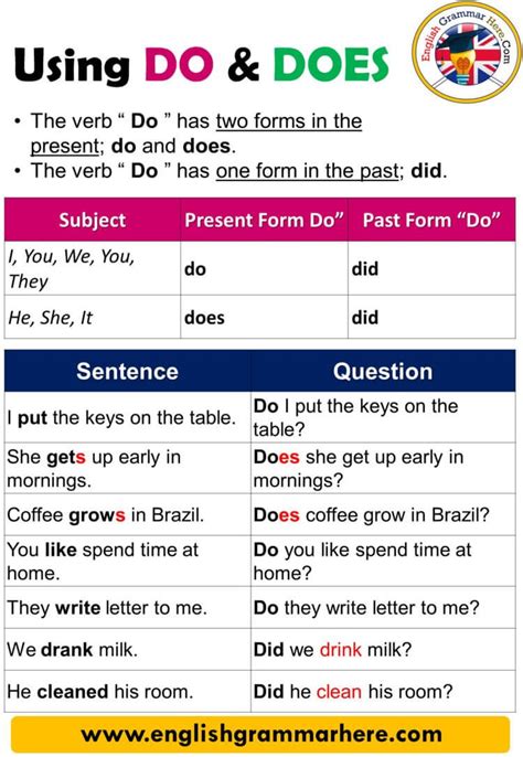 Using Do And Does Definition And Example Sentences Using Do And Does