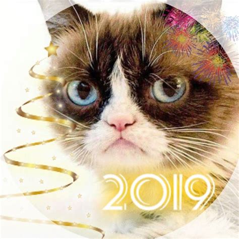 Have A Grumpy 2019 New Year Grumpy Cat Humor Grumpy Cat Cats