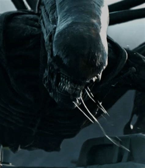 Parasitologist Explains How To Beat Xenomorphs In Alien Covenant