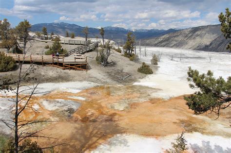 15 fun facts about yellowstone national park travelin cousins