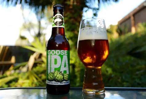 Top 20 Ipa Beer Brands You Can Buy From Stores