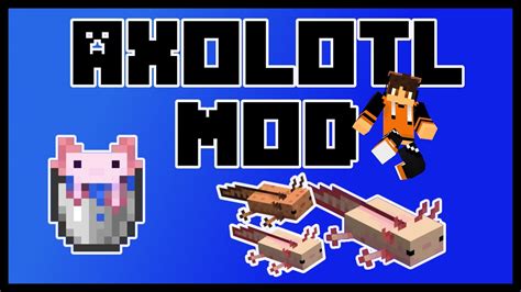Minecraft Axolotl Mod Showcase How To Download And Play Youtube