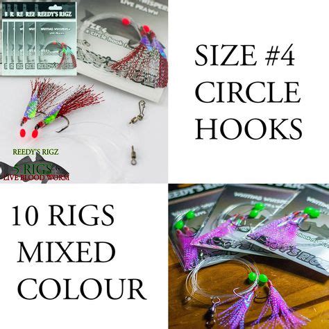 15 Rigs For Whiting Fishing Made easy ideas in 2021 | fishing rigs