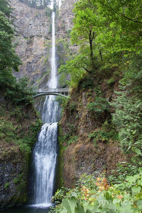 Multnomah Falls In The Columbia River Gorge In Oregon