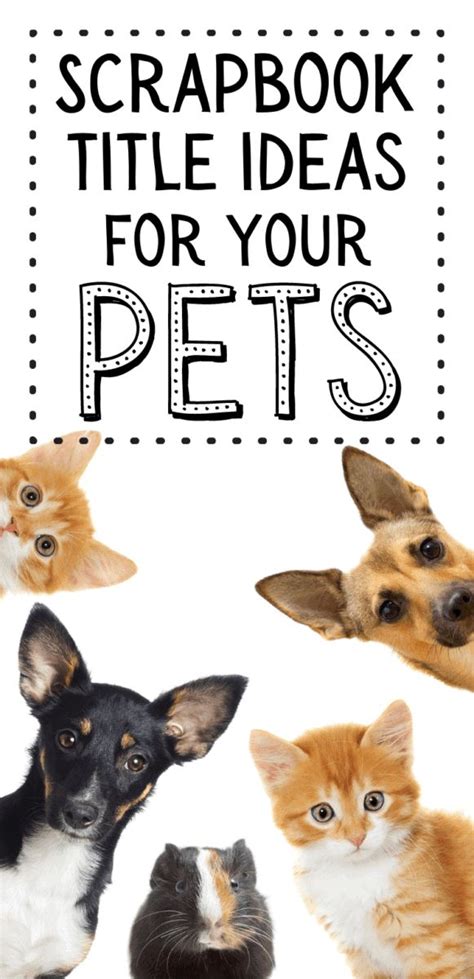 Over 215 Title Ideas For Your Pet Themed Pages Pet Scrapbook Layouts
