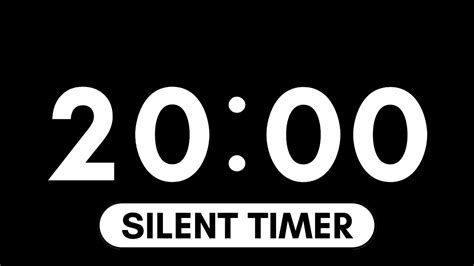 20 Minute Timer ⏱ Black Background Countdown Timer Minimal