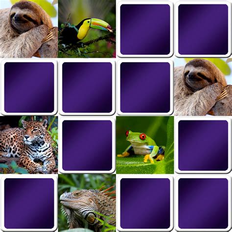 Great Memory Game For Seniors Tropical Animals Online